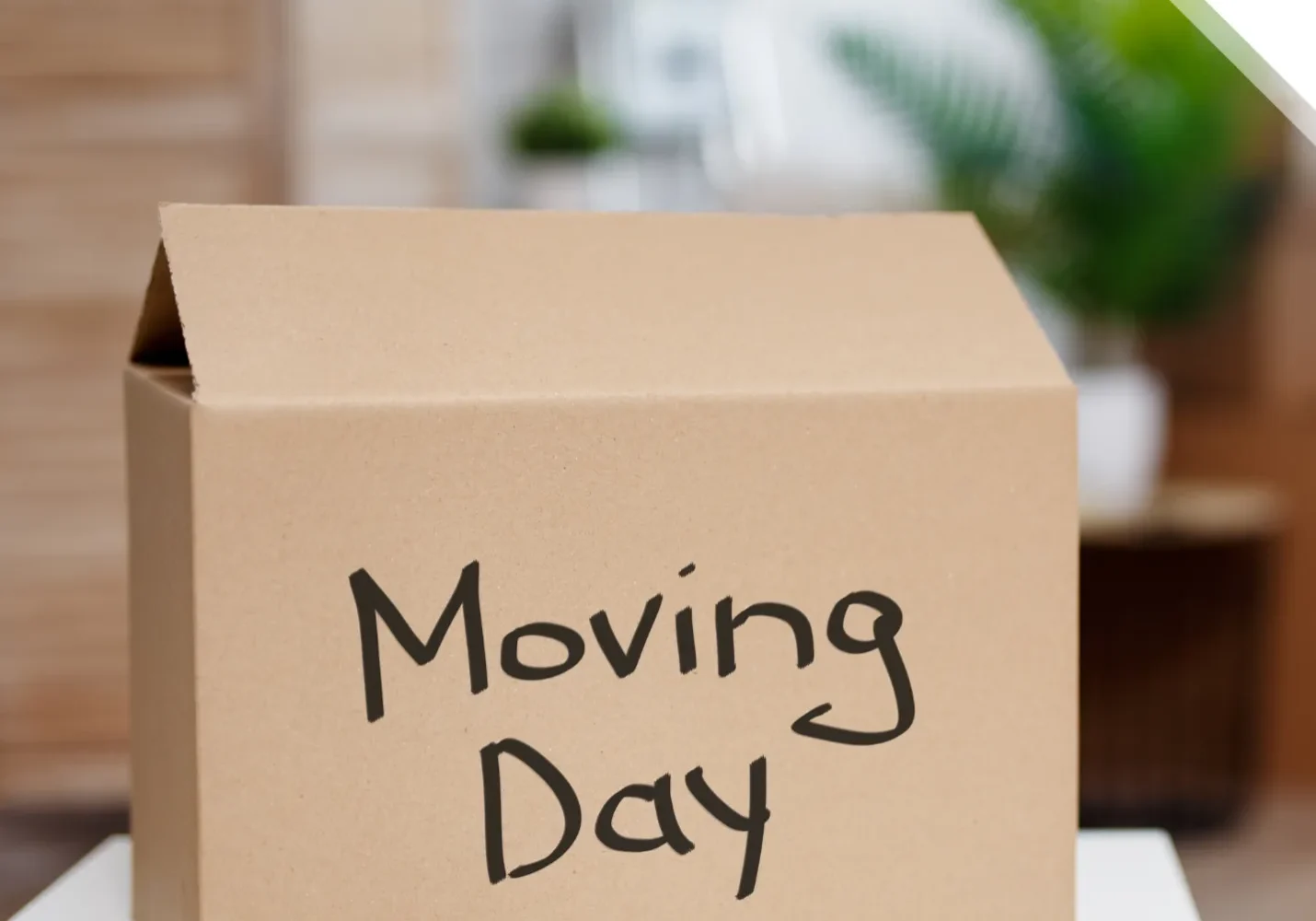 A moving box with the words " moving day ".